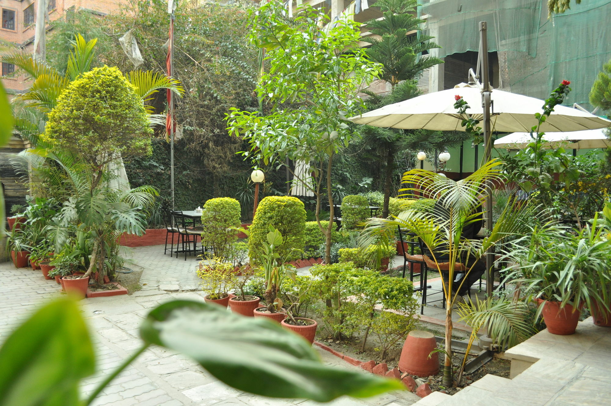 Hotel Florid Kathmandu Bagian luar foto