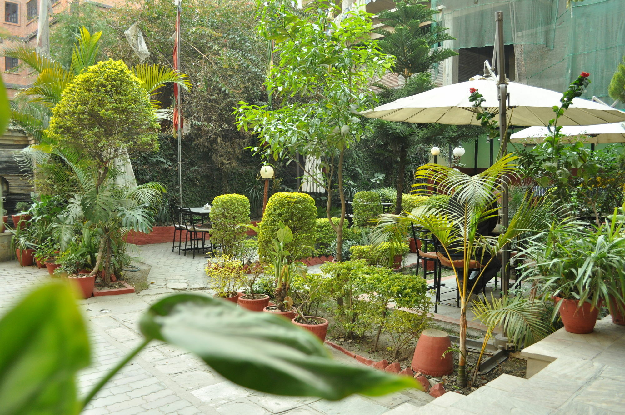 Hotel Florid Kathmandu Bagian luar foto